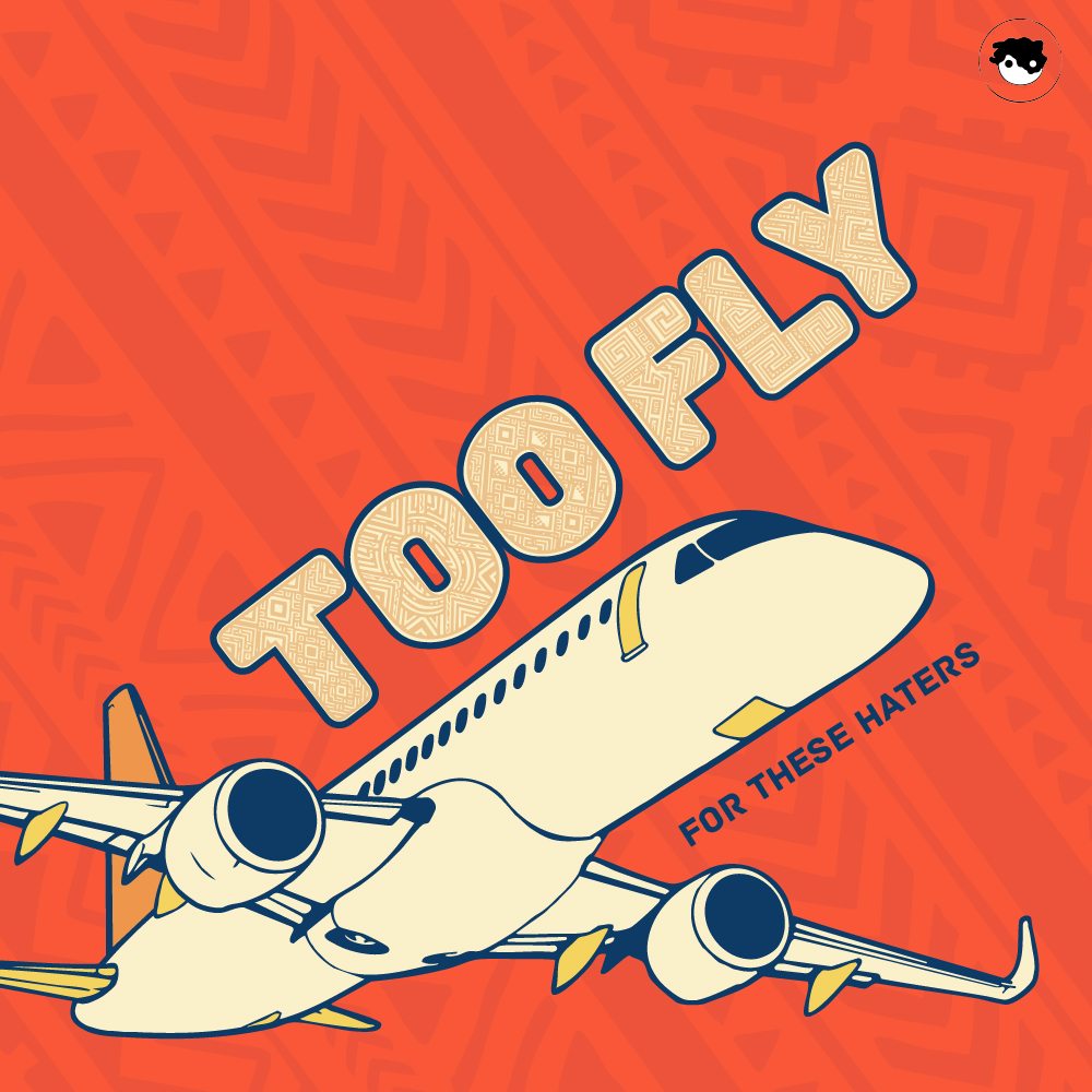 Too Fly For These Haters cover art: an illustrated jet climbing across a patterned orange ground